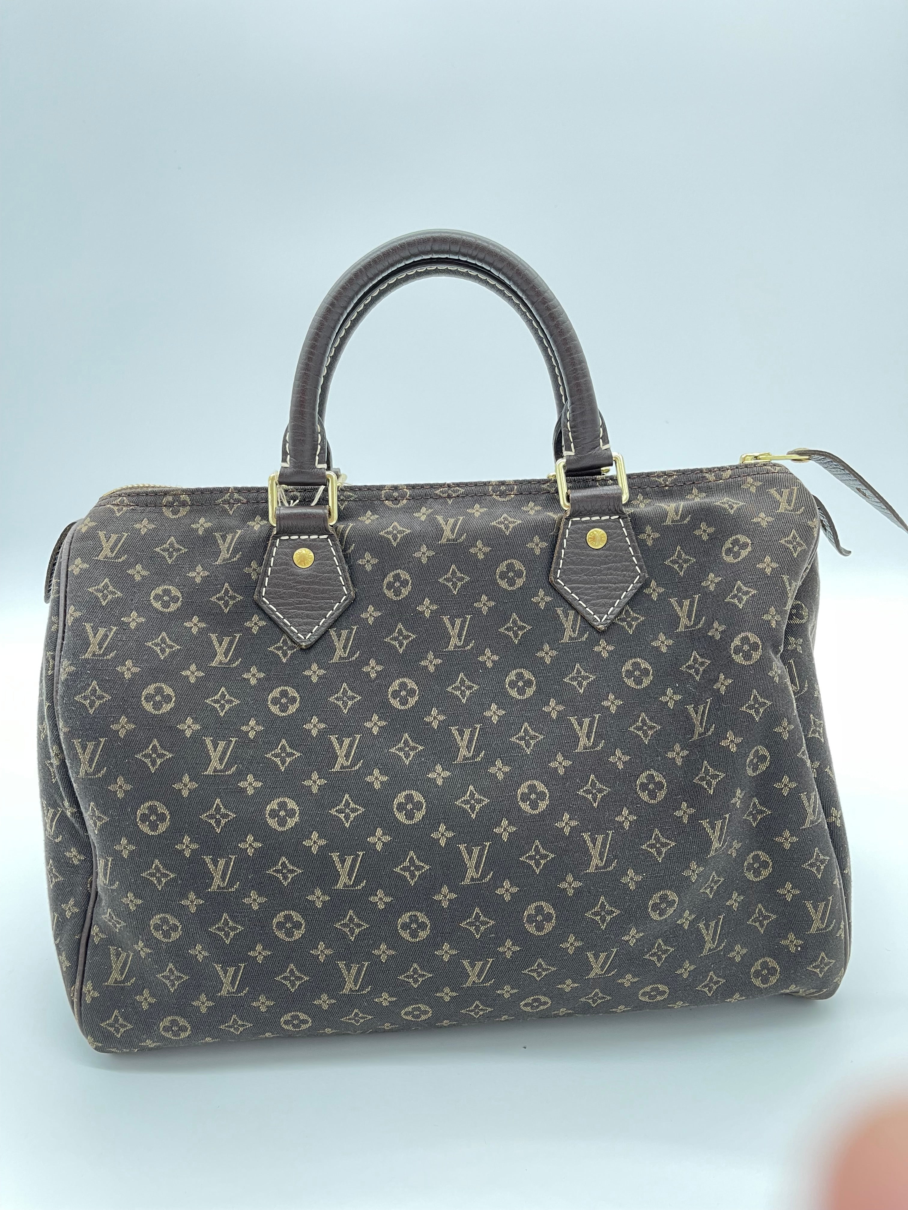 Louis Vuitton Monogram Mini Lin Speedy 30 – LUXURIZZ